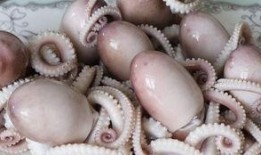 网红八爪鱼吃瓜爆料,揭秘网红圈幕后风云